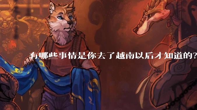 有哪些事情是你去了越南以后才知道的？