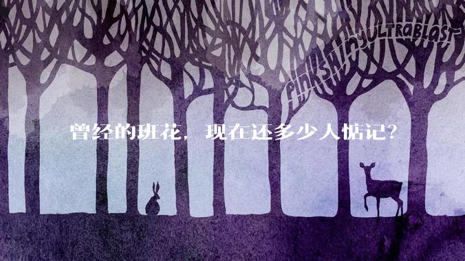 曾经的班花，现在还多少人惦记？