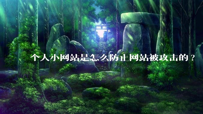 个人小网站是怎么防止网站被攻击的?