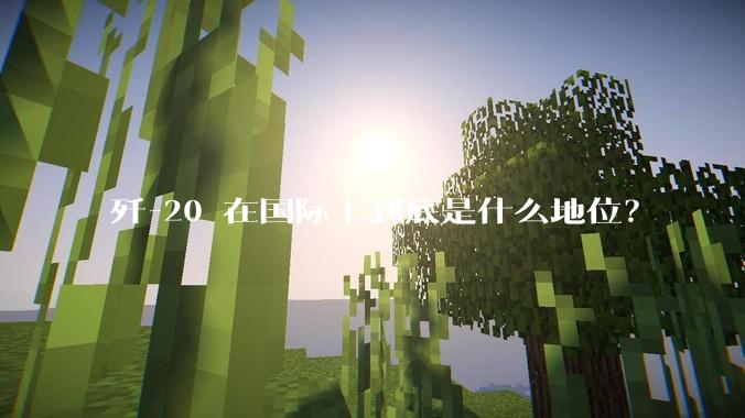 歼-20 在国际上到底是什么地位？