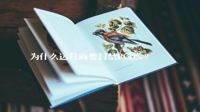 为什么运营商要封禁PCDN?