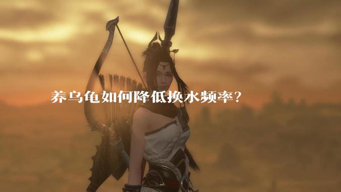养乌龟如何降低换水频率？